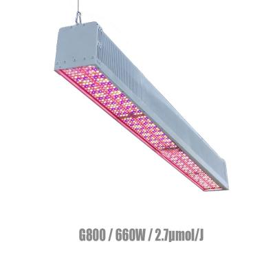 China Seed Starting Growers Selection Led Strip Lights For Hydroponics Plant Grow Light For Seedlings And Seed Statement for sale