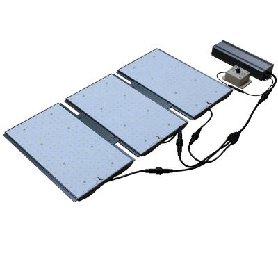 China Seed Starting HortiSpectra Full Spectrum Replace 288 Lm301d Board Led Grow Lighting 300w 400w 600w for sale