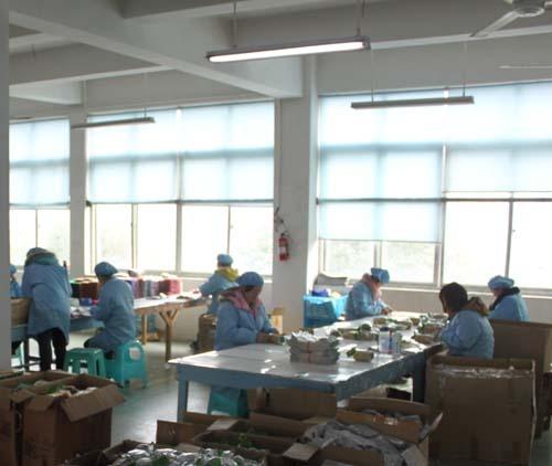 Verified China supplier - Wenzhou Laili Sticker Crafts Co., Ltd.