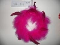 中国 Feather 販売のため