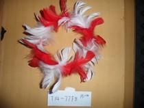 China Feather for sale