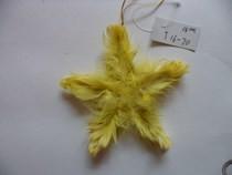 China Feather for sale