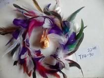 China Feather for sale