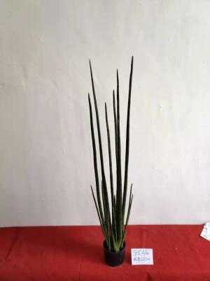 China SHC4-18 L        120cm for sale