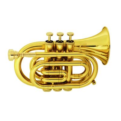 China Wholesale Custom Professional Gold Lacquer Hyer Band Set Brass Musical Instrument Euphonium Baritone Trumpet for sale