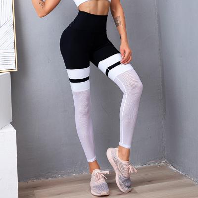 China Fashion Design Breathable Mesh Gaiters Black White Gym Fitness Yoga Wear Pants for sale