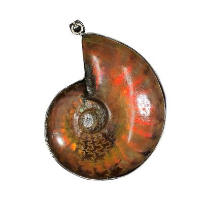 China China Wholesale Natural Petrochemical Wrapped Side Gift Class Color Shell Fossil Wrapped Side Pendant for sale