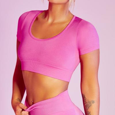 China 2022 New Ladies Yoga Wear Women Fitness Breathable Shorts Sleeve Breathable Seamless Seamless Crop Tops Wholesale Breathable for sale