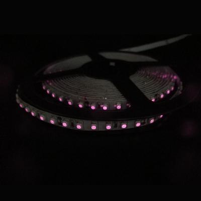 China Factory Supplier flexible rohs light outdoor led strip lighting for sale