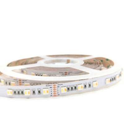 China hot selling 24v LED light 60leds/m led strip 5050 RGBWW led flexible strip for sale