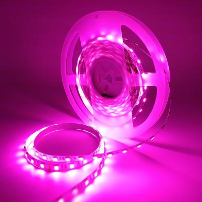 China High quality long duration time IP20/IP65/IP67/IP68 rgb flexible  strip light 3 in 1 rgb 5050 flexible led light for sale