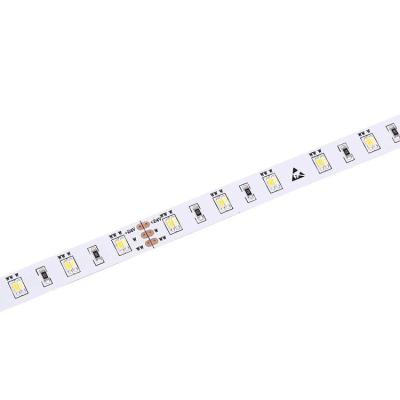 China High CRI 90 Smd 3014 Double Color Cct Adjustable Flexible Led Strip Ac 12v/24v Led Strip Light Custom for sale