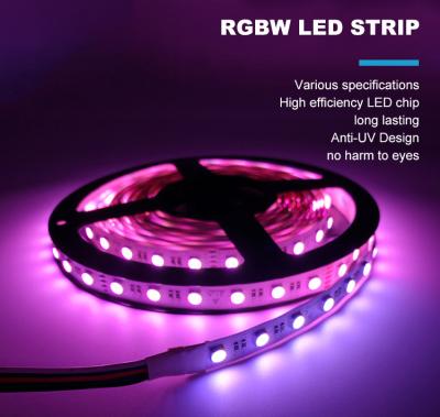 China Factory direct sale outdoor rgb led strip lights smd5050 addressable rgb led strip 14.4 watt per meter IP20 IP65 IP67 and IP68 for sale