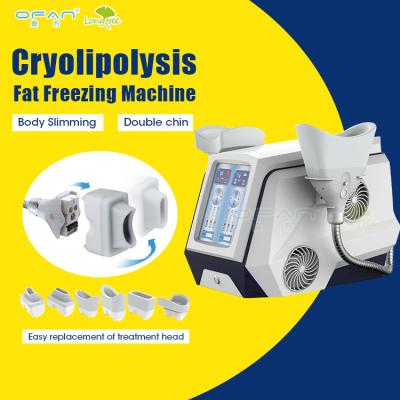 China Best Weight Loss Weight Loss Vacuum RF Slimming Portable Device Price Cryolipolysis Liposuction Cryolipolisis Cryotherapy Machine for sale