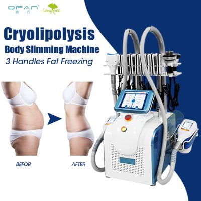 China 2020 weight loss cryo 360 cryolipolysis cryolipolysis cryolipolysis slimming portable machine / cryolipolysis criolipolisis machine for sale