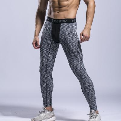 China Breathable Custom Legging GYM Wear Fitness Pants Men Compression Gaiters Dropshipping Vedo Compression Polyester Logo for sale