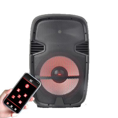 China Echo AS Professional 15 Inch BT Gaming Home Audio Sound Box Speaker And Horn Powered Portable Speaker DJ Speakers for sale