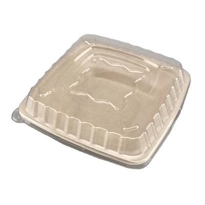 China Freshness Preservation Sugarcane Bagasse Bowl with Lid Place Stores Bagasse Lunch Box Compostable Takeaway Food Container for sale