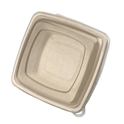 China Freshness Preservation Biodegradable Bowl With Lid Disposable Bowls Wholesale Food Container Biodegradable Take Away Soup Bowl With PET Lid for sale