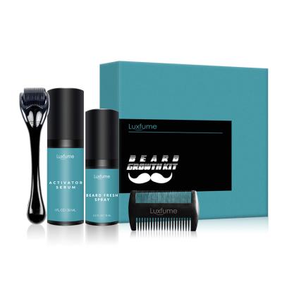 China No Greasy + Professional Beard Growth Kit With Beard Serum Oi Roller Comb Wholesale OEM Logo for sale