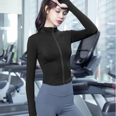 China Dibao New Yoga Jacket Women's Breathable Cardigan Zipper Fitness Clothes And Diet Long Sleeve Yoga Clothes for sale