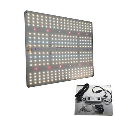 China FLOWER 2020 R2T Newest Hydroponic Greenhouse 150W Full Spectrum LED Grow Light For Indoor Plants for sale