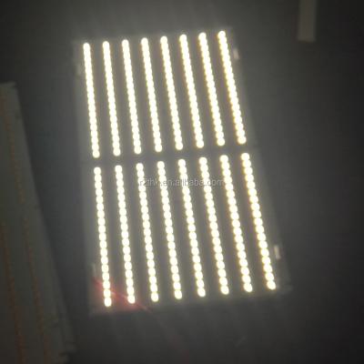 China Seed Starting Full Spectrum Q304 LM561C S6 and SSL1.24/XPE2 LED Grow Light Board for sale