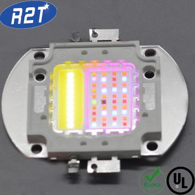 China LED Lighting White Full Spectrum LED Plant Grow Light COB LED for sale