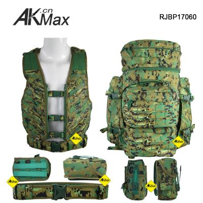 China Military Assault Pack MOLLE Backpack Large Size Brunei Digital Woodland Camouflage for sale