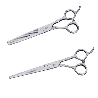 China Professional Hairdressing Thinning Scissors Beauty JP Stainless Steel Hair Cutting Barber Scissors for sale