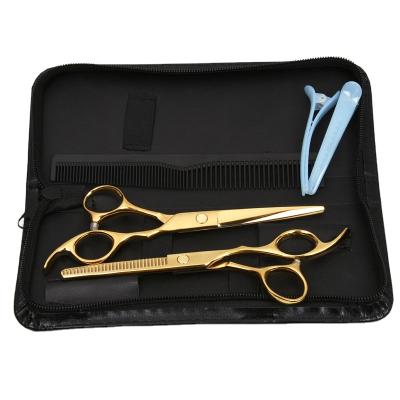 China 6.0 Inch Beauty Hair Salon Barber Scissors Set For Hairdressing Thinning Scissors for sale