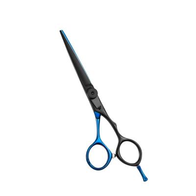 China Thinning Scissors 6 Inch 9CR Japan Stainless Steel Hair Scissors For Hairdressers Cutting Thinning Scissors for sale