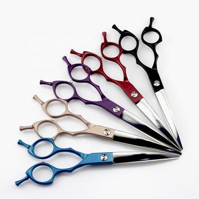 China 6.5 Inch Purple 2-IN-1 Thru Groomer Hair Shear Chinese 440c Stainless Curved Blade Dog Scissors for sale