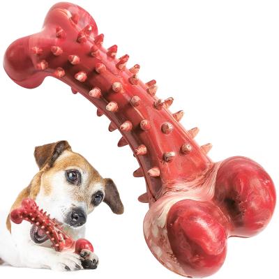 China Viable mode in running soft rubber clean longevity interactive dog bone shape dog bone chew toy for sale