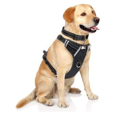 China 2022 Viable Hot Selling Wholesale Sport Running Dog Safety Adjustable Waterproof Neoprene Backpack Leash Dog Harness Tactical Set for sale