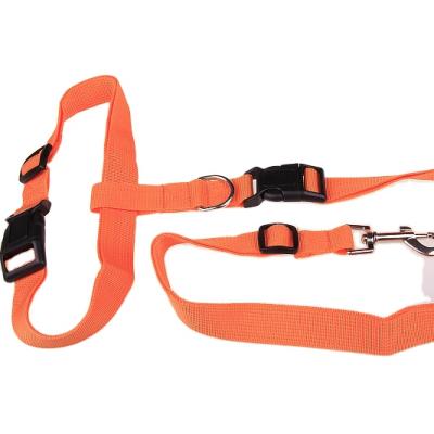 China OEM Padded Double Handle Large Multicolor Nylon Rope Long Padded Dog Leash Sublimation Durable for sale