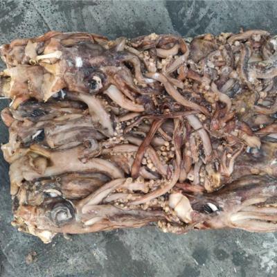 China Nutritious Frozen Squid Tentacle Squid Wholesale Price Main Best Selling Frozen Squid Tentacles for sale