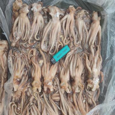 China Nutritious Direct Wholesale Squid Head Tentacles Giant Squid Factory Frozen Black Squid Tentacle Tentacles for sale