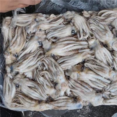 China Nutritious Jelly Squid Head Tentacle Squid Wholesale Price Indian Frozen Squid Tentacle for sale