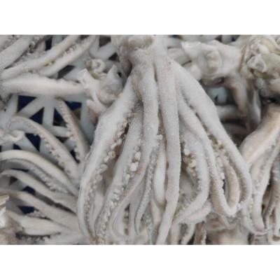 China Main Wholesale Peru Giant Squid Frozen Head Factory Supply Nutritious Giant Bleached Squid Tentacle Squid Head With Tentacle for sale