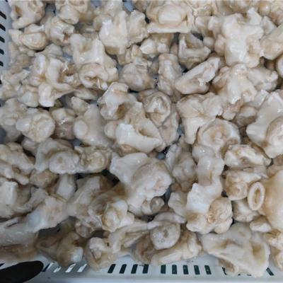 China Nutritious Hot Frozen Calamari Neck BQF Squid Factory Selling Gigas Neck Frozen Squid Neck for sale