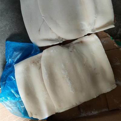 China Wholesale Frozen Giant Calamari Nutritious High Quality Steak Customization Giant Squid Squid Fillet Steak for sale