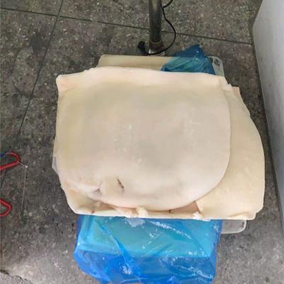 China Nutritious High Quality Frozen Giant Squid Fillet Meat Remove Bulk Skin Frozen Squid Fillet for sale