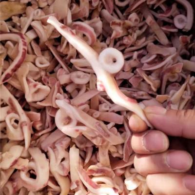 China Nutritious Plant Wholesale Frozen Squid Strips With Skin Wholesale Calamari Strips for sale