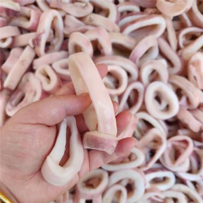 China High Quality Nutritious Ring Frozen Squid from Todarodes Loligo Wholesale for sale