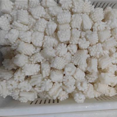 China China IQF Nutritious Wholesale Ice Cubes Frozen Squid Meat 40% for sale