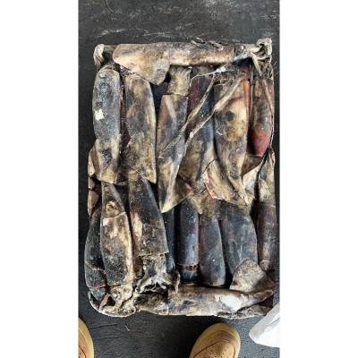 China Wholesale High Quality Nutritious Cheap Frozen Equatorial Squid Dosidicus Whole Round Giant Squid for sale