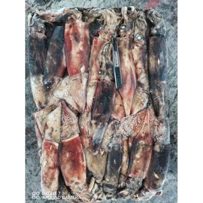 China Peru Giant Squid Whole Round Frozen Squid Meat Nutritious Squid Prices for sale