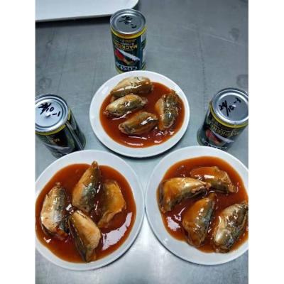 China Nutritious Hot Sale Canned Pacific Mackerel in Tomato Sauce for sale