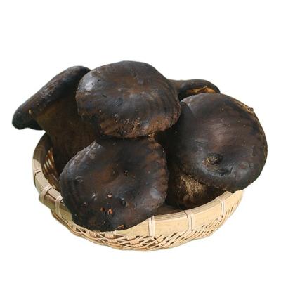 China Fresh Black Finc Porcini Mushroom Boletus Aereus Fresh Boletus for sale